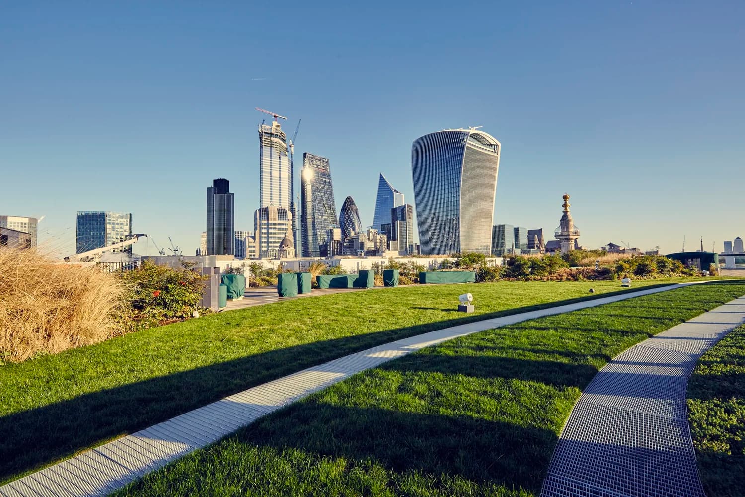 A green roof terrace overlooking the City of London skyline